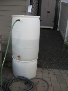My Rain Barrel