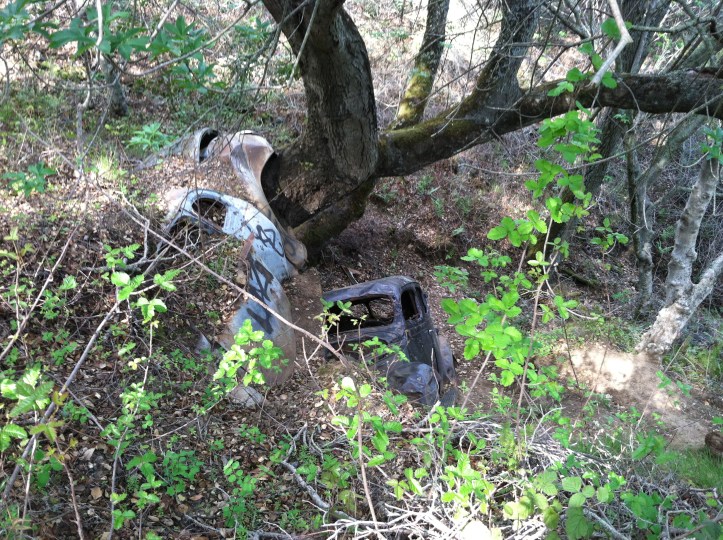Abandoned Cars, Almaden Quicksilver Mine Park, San Jose, CA