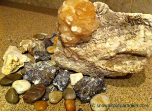 © snowbirdofparadise.com