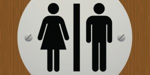 http://www.huffingtonpost.com/katherine-ripley/bathrooms-segregated-_b_8524374.html