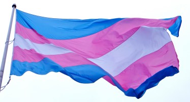 Transgender flag