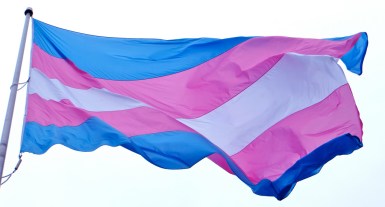 Transgender flag