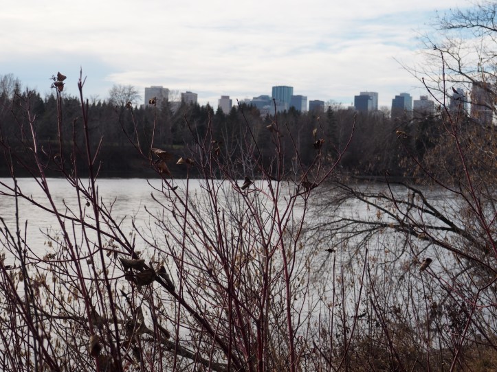 Edmonton city centre and North Saskatchewan River