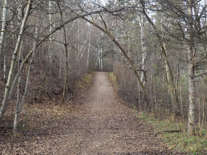 Trail beside Kinnaird Ravine