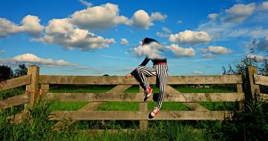 Woman sitting on a fence