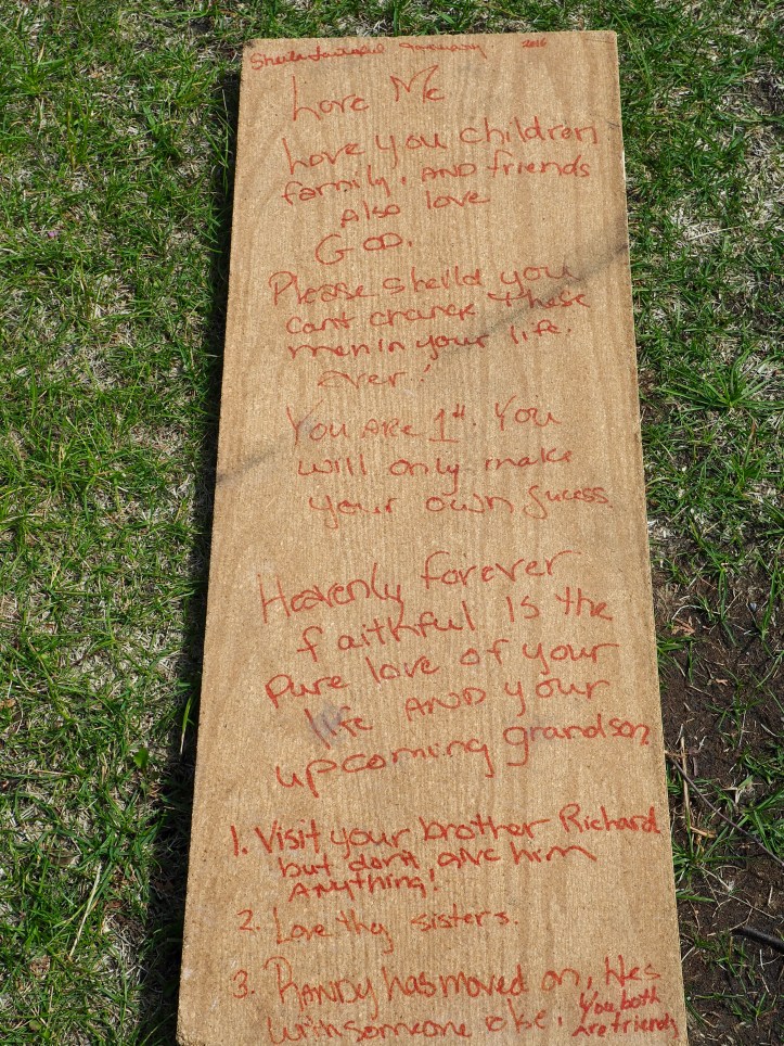 Maskihkîy Âcimowin / Medicine Stories, 118 Avenue, Edmonton, Alberta